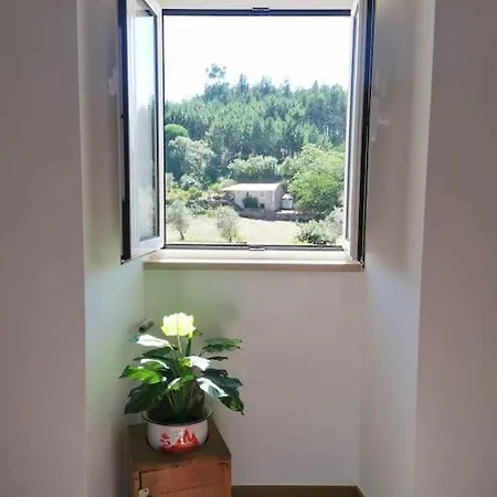 Villa Casa Da Bivo à Figueiro Dos Vinhos Extérieur photo